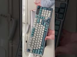 RK S98, Clay Green / Linear Cream video 1