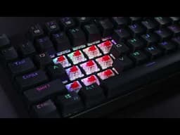 Redragon Surara, Full-size Linear video 1