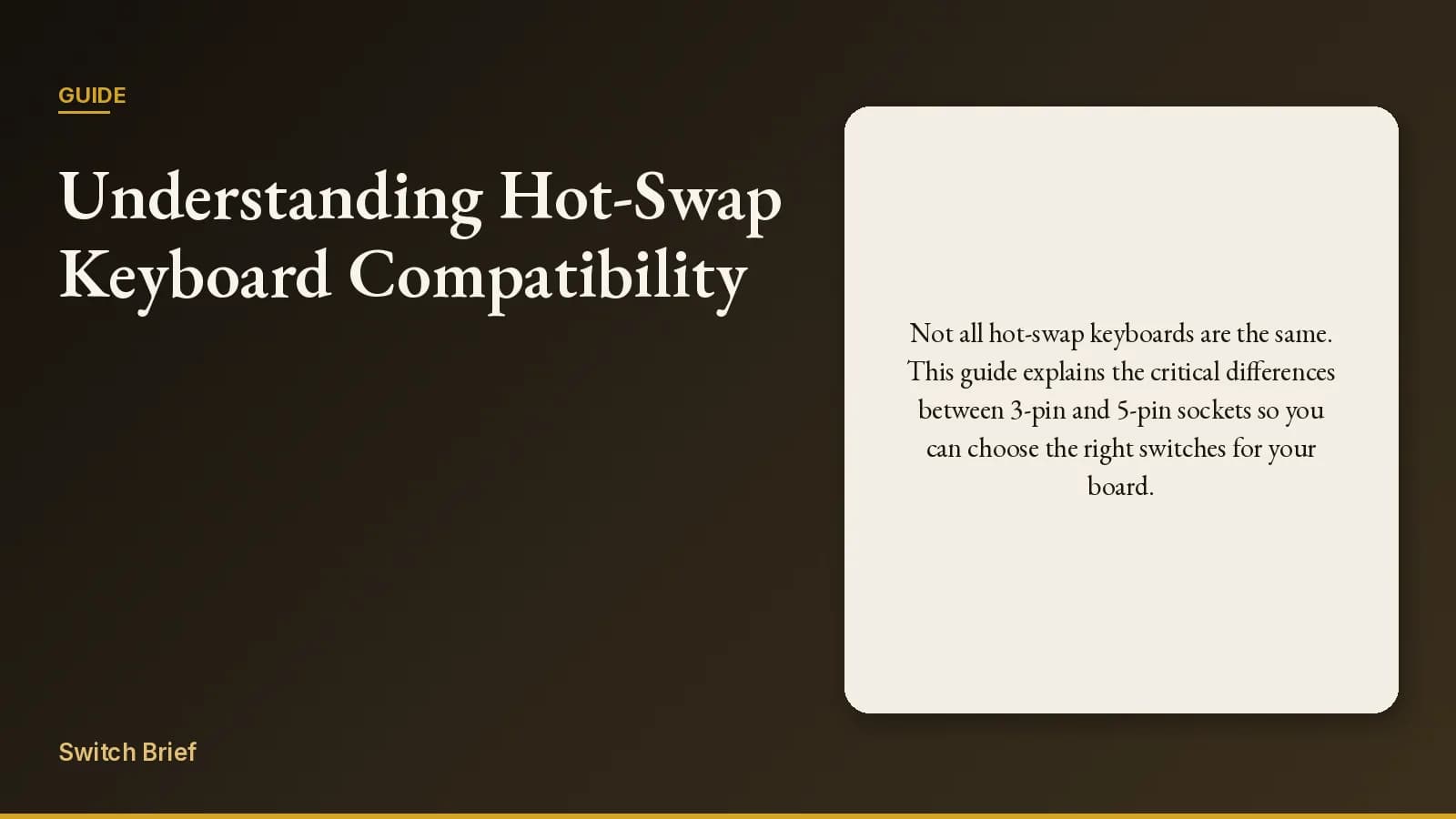 Guide cover titled Understanding Hot-Swap Keyboard Compatibility, with a summary about three-pin and five-pin sockets.